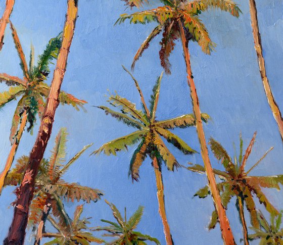 Under Cucunut Palms