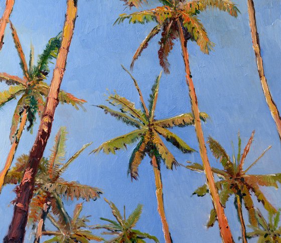 Coconut Palm Trees