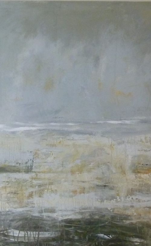 Stolen Sleep by Fiona Philipps