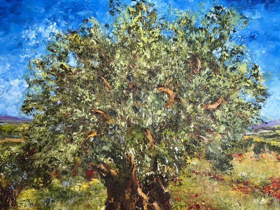 Olive Tree