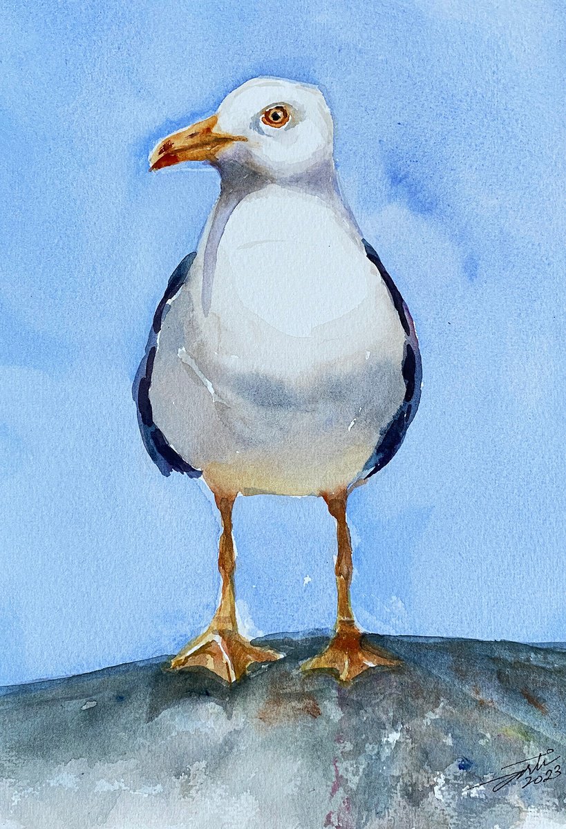 Herring Gull Garry by Arti Chauhan