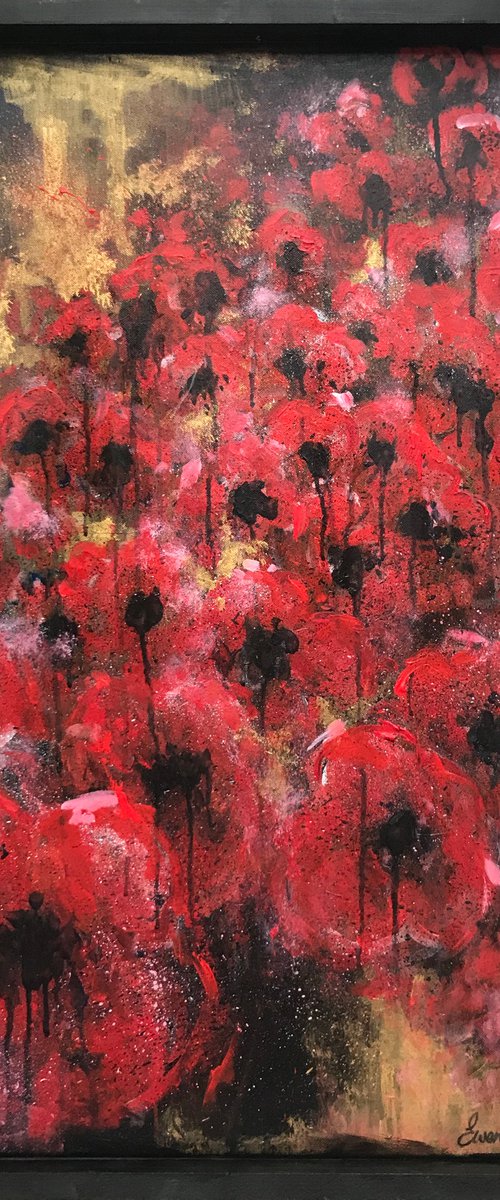 Field of Poppies by Ewen Macaulay