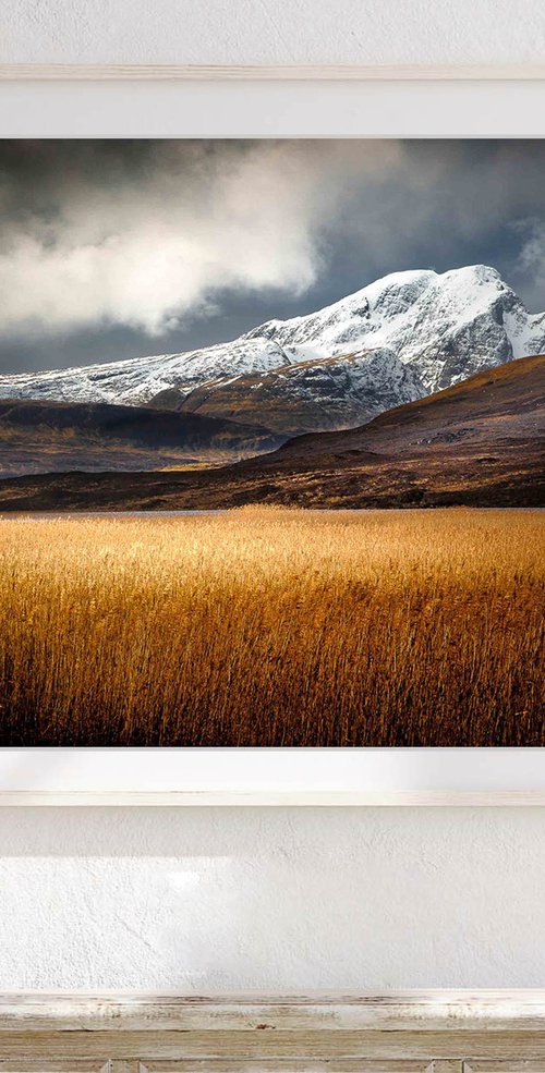 Sea of Gold, Skye by Lynne Douglas