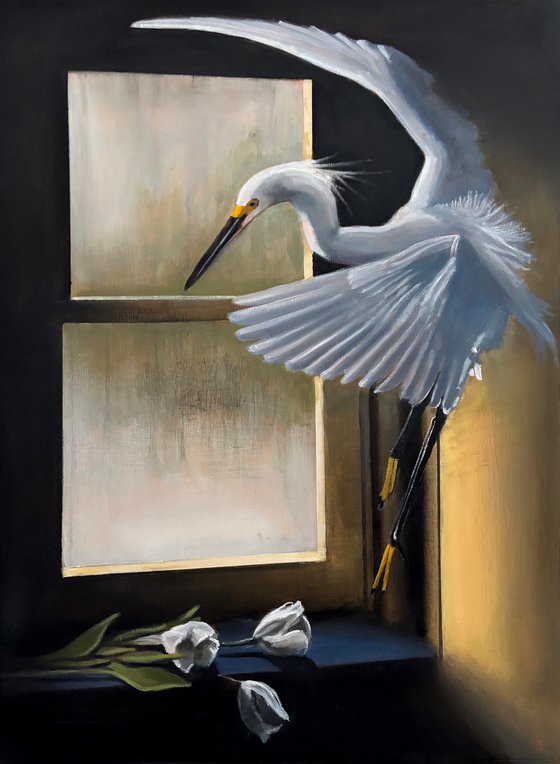 Little Egret: Clearwater
