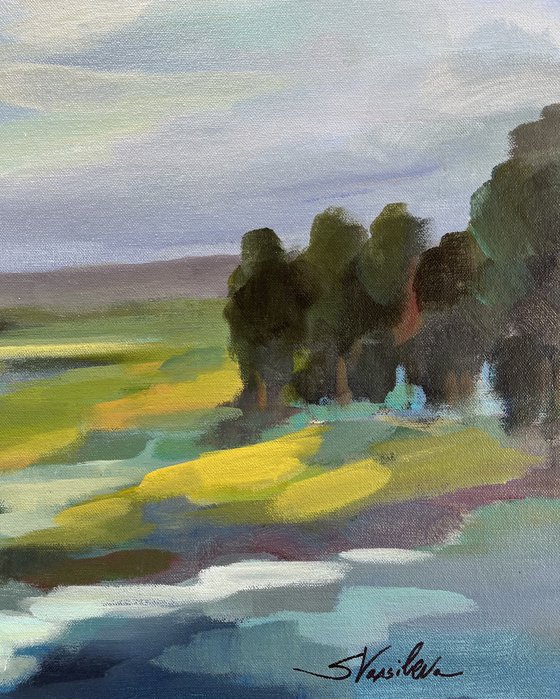 Spring Stream