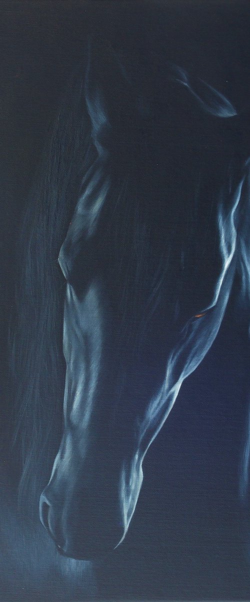 Friesian horse by Marie Madej