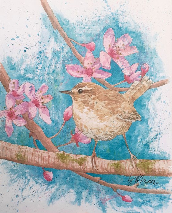 Wren and Blossom