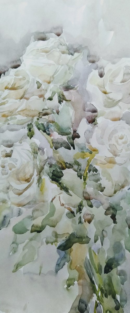 Roses. Original watercolour painting. by Elena Klyan