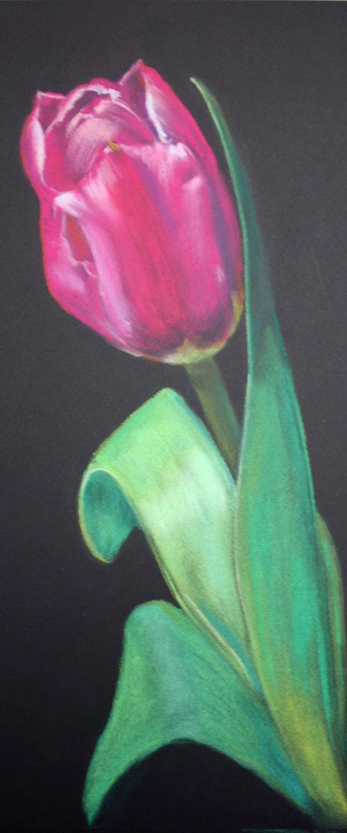 Original pastel drawing 'Tulip' by Salana Art Gallery