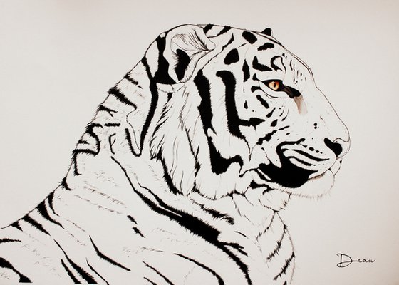 Indochinese Tiger .1