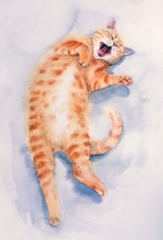 Yawning Ginger Cat  - red cat - red headed cat - tabby cat - ginger tabby cat