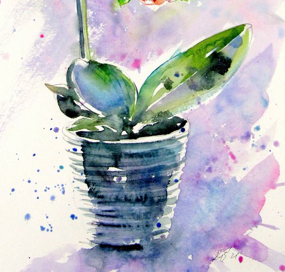 Still life with orchid