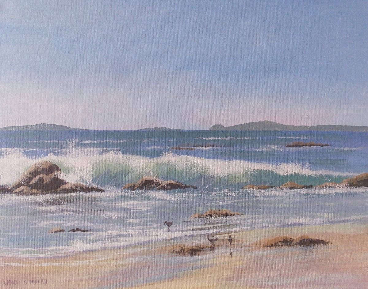 aughrisbeg waves by cathal o malley