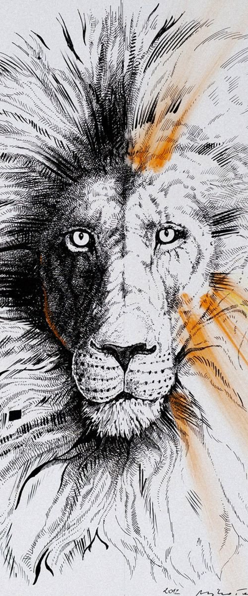 Lion v.01 by Mikolaj Cielniak