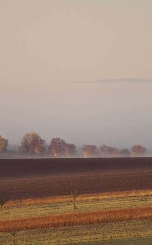 Shades of brown by Pavel Oskin