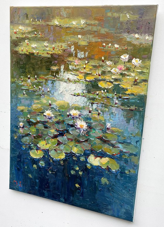 "Water lilies "