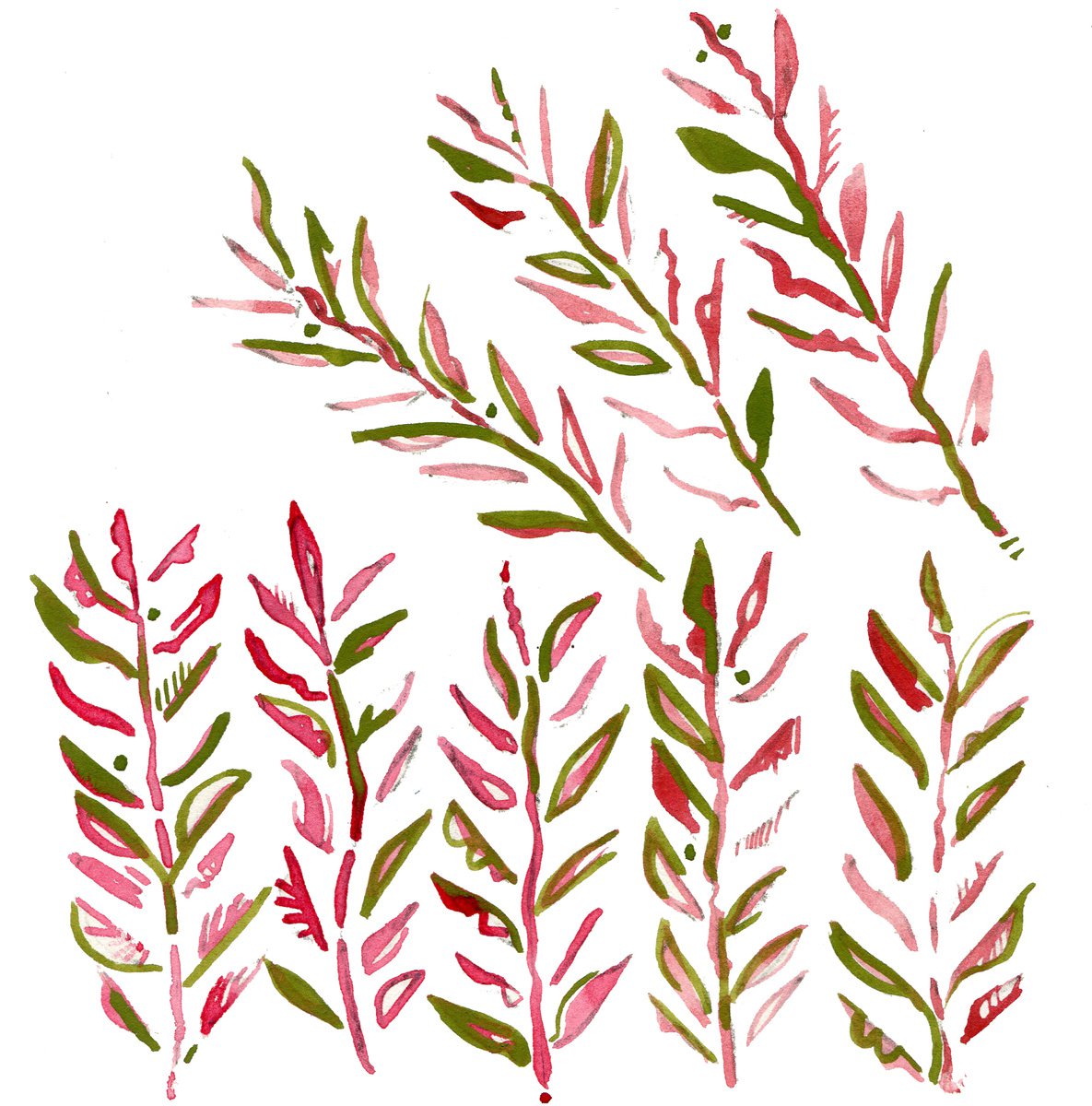 Green and pink leaves by Hannah Clark