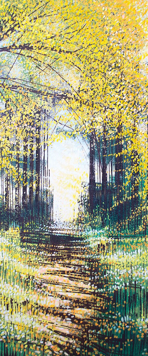 Sunlight Through Autumn Trees by Marc Todd