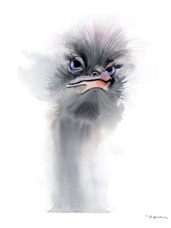 Ostrich 3 - Original Watercolor Painting