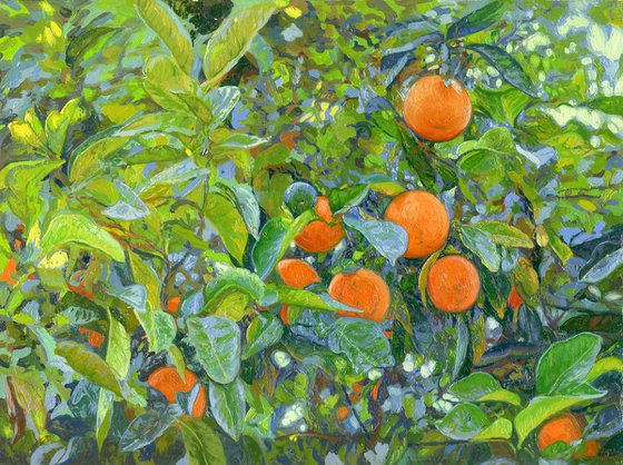 Oranges