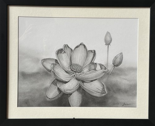 Lotus flower by Sun-Hee Jung