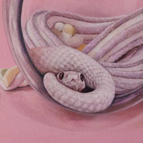 The Tiny Snake and the Candy Jar