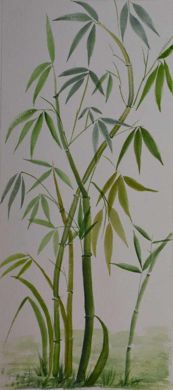 Bamboo