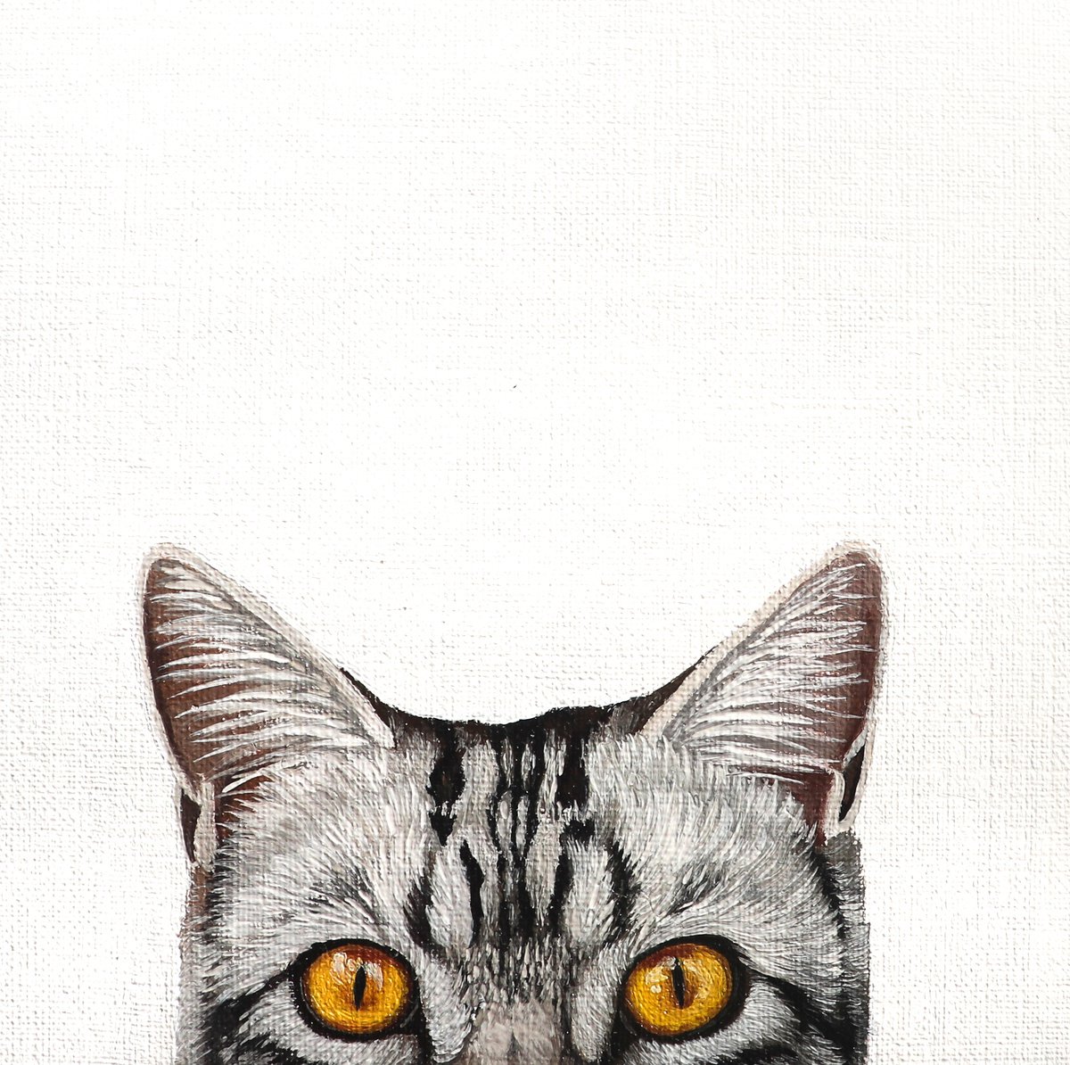 BRITISH SHORTHAIR by Milie Lairie
