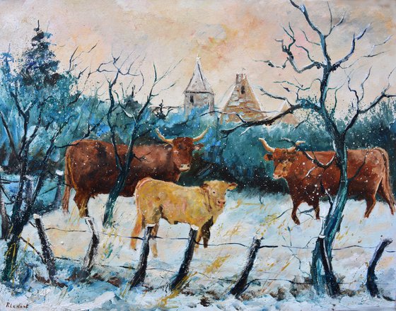 Cows in the snow