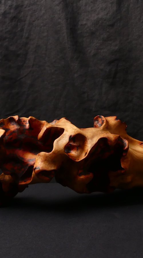 Emerging Phoenix (2025) by J. Lane