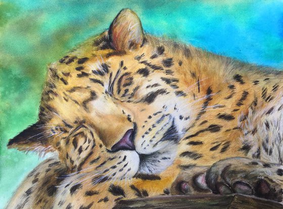 Sleepy Leopard