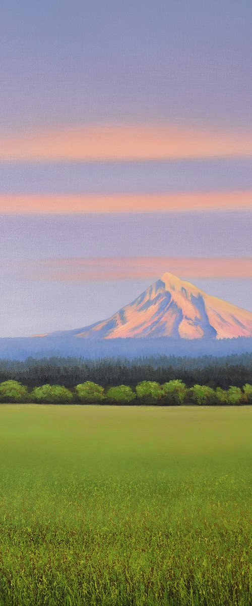 Mountain Sunset by Suzanne Vaughan