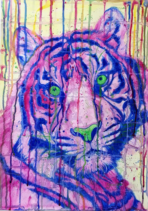 Radiant Beast. Watercolour tiger. Animals. Wildlife. Free Shipping by Steven Shaw