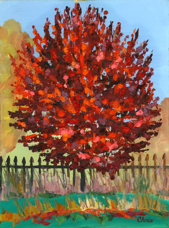 Red Maple & Fence