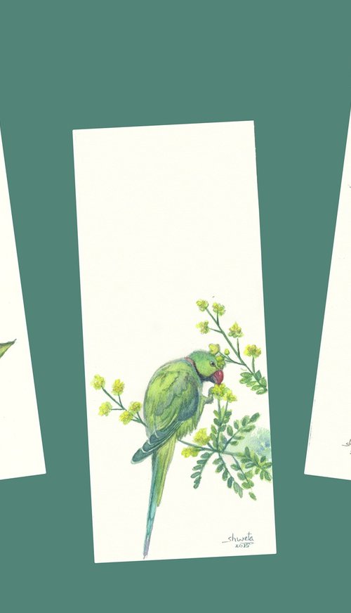 Rose ringed Parakeets by Shweta  Mahajan