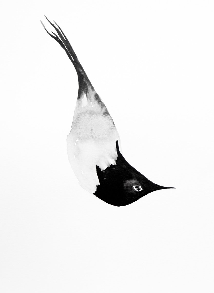 Bird by Nadia Moniatis