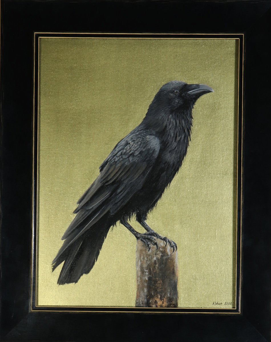 Raven, Portrait of a Black Bird by Alex Jabore
