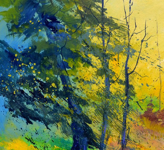 Light in the wood