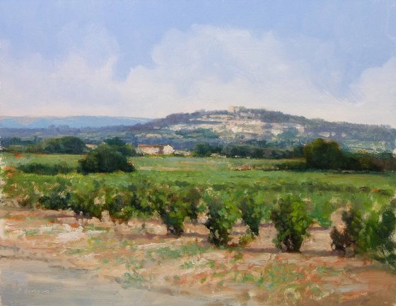 Vineyards near Châteauneuf du Pape