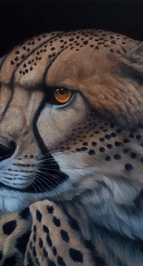 Regal Leopard by Tamar Nazaryan