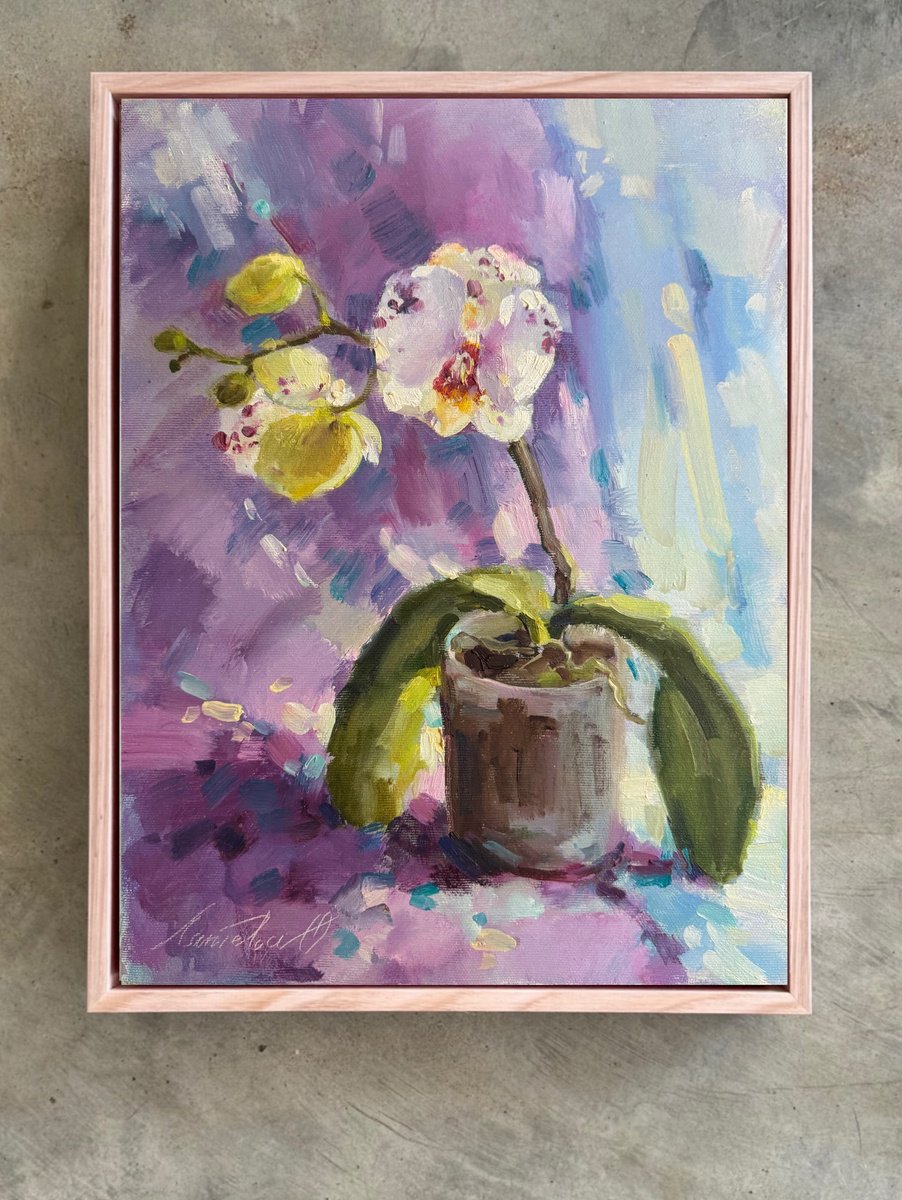Naive Oil Painting , Orchid Flower By Olha Laptieva, 12 X 16, Artwork For Sale On Artfinder