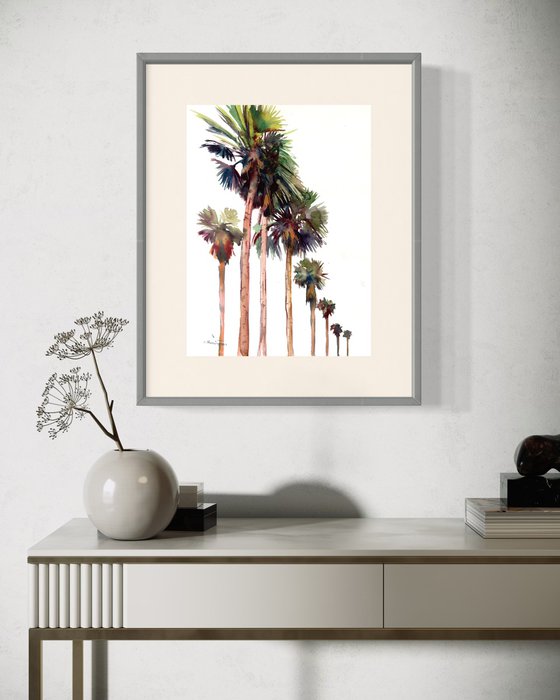 Desert Palm Trees