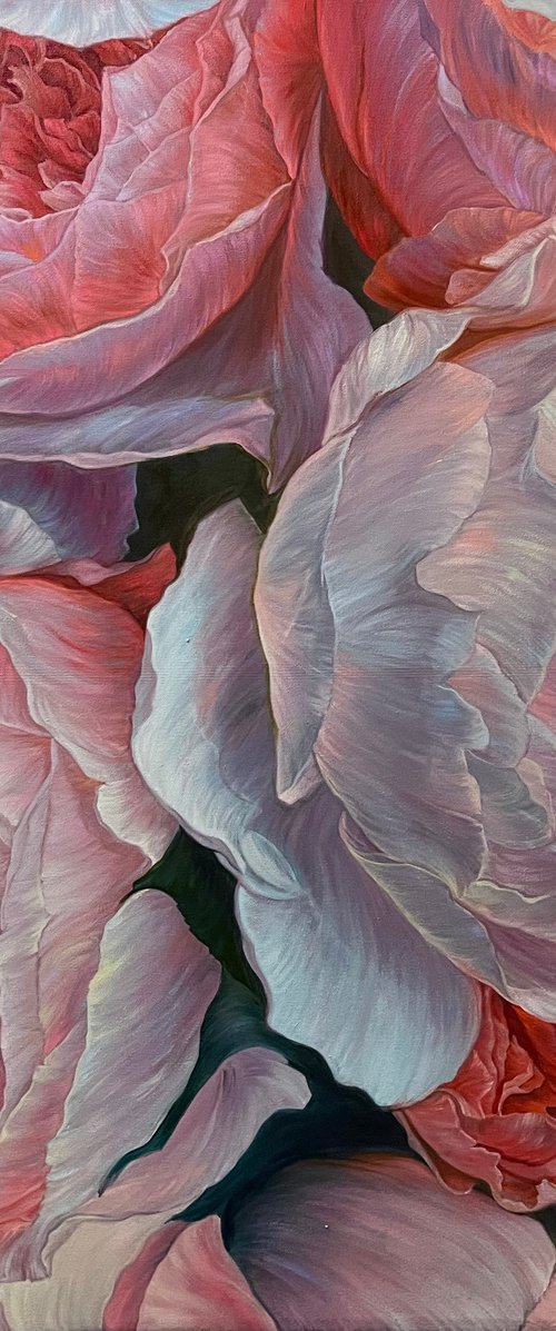 Peony Roses by Elena