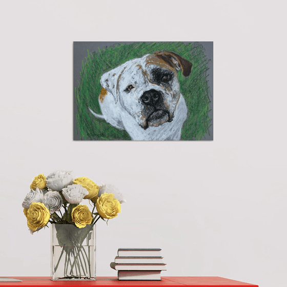 Dog V... American Bulldog /  ORIGINAL PAINTING