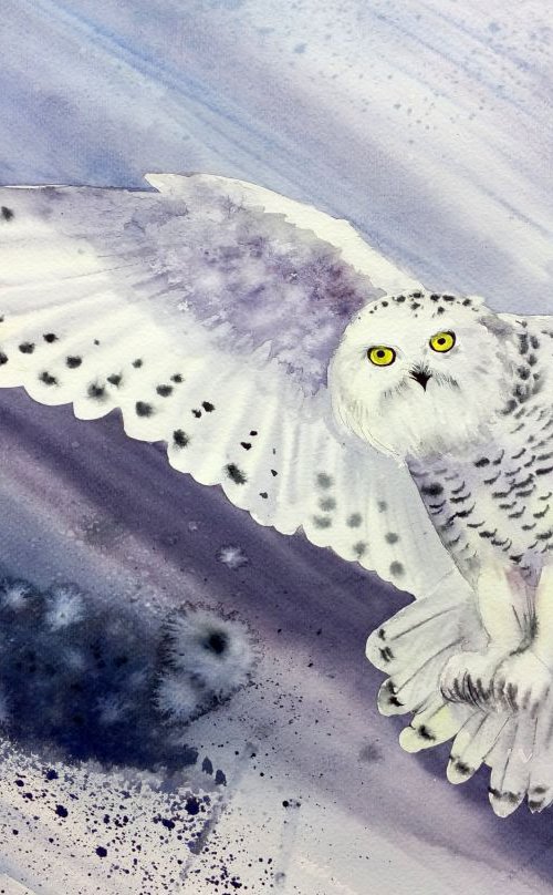 RESERVED - Snowy Owl Flying In by Olga Beliaeva Watercolour