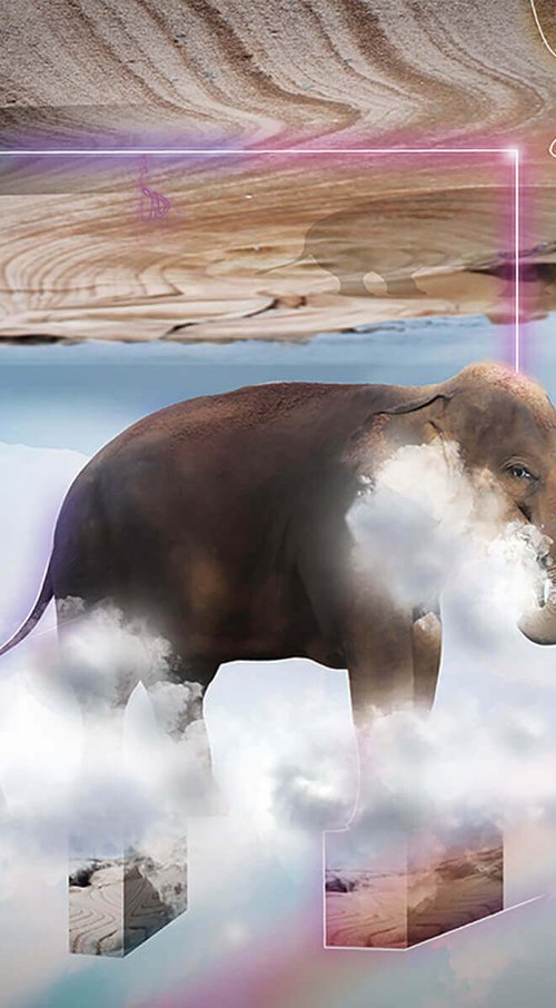 Elephant by Vanessa T Stefanova