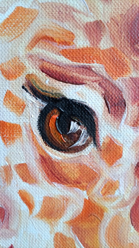 Touch - animal, giraffes, animal face, lovers, painting on canvas, love, gift, animals art, animals oil painting