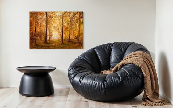Forest Inspiration