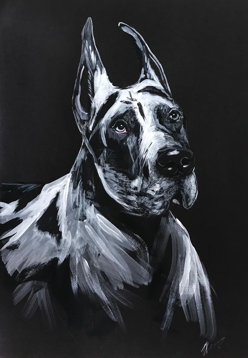 Great Dane 2 black and white, dog portrait by Leysan Khasanova