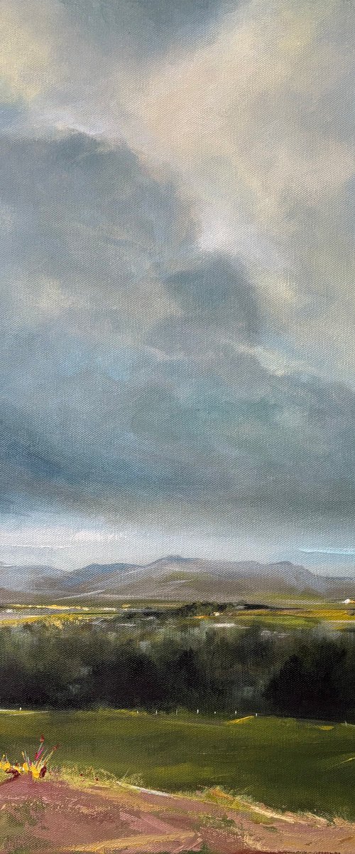 Westport by mark skirving